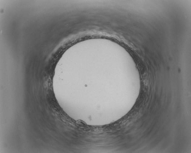 X0000078231495200611251201