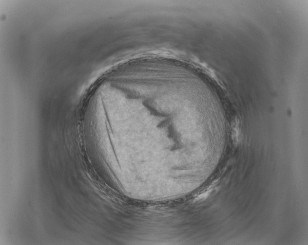 X0000078231496200611251201