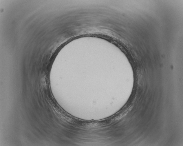 X0000078231497200611251201