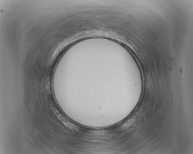 X0000078231499200611251201