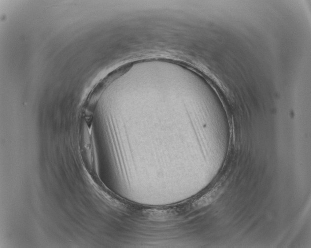 X0000078231500200611251201