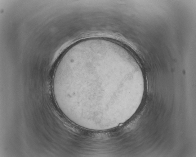 X0000078231501200611251201