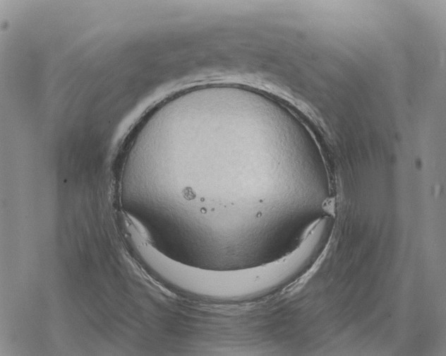 X0000078231502200611251201