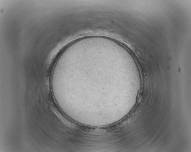 X0000078231503200611251201