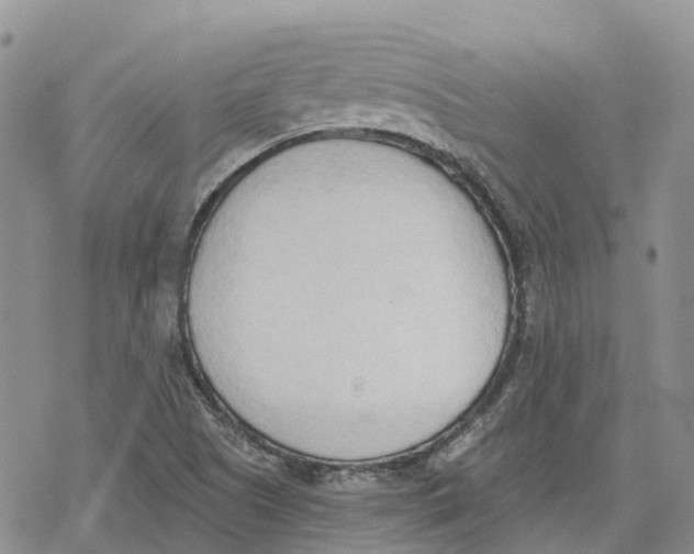 X0000078231505200611251201