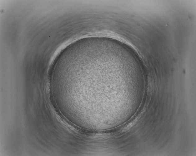 X0000078231506200611251201