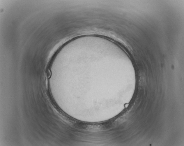 X0000078231509200611251201