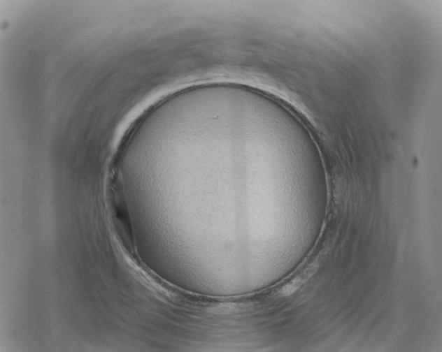 X0000078231510200611251201