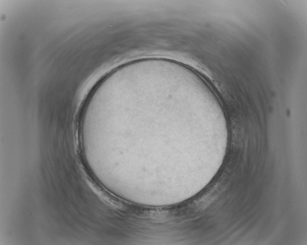 X0000078231511200611251201