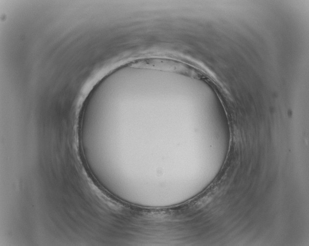 X0000078231512200611251201