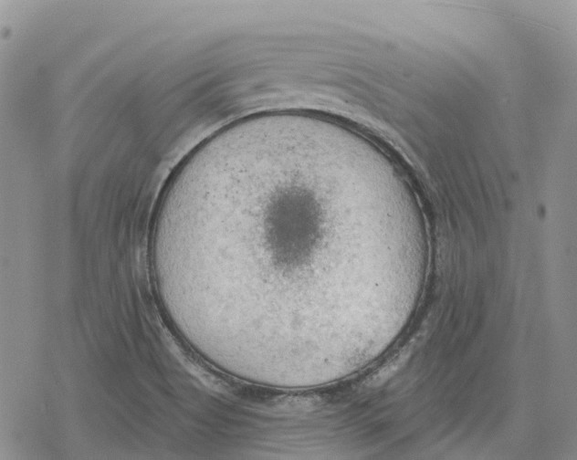 X0000078231513200611251201