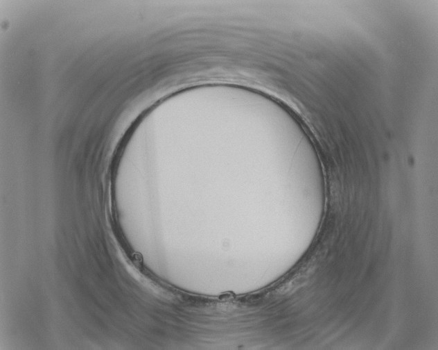 X0000078231515200611251201