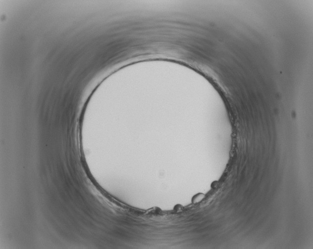 X0000078231516200611251201