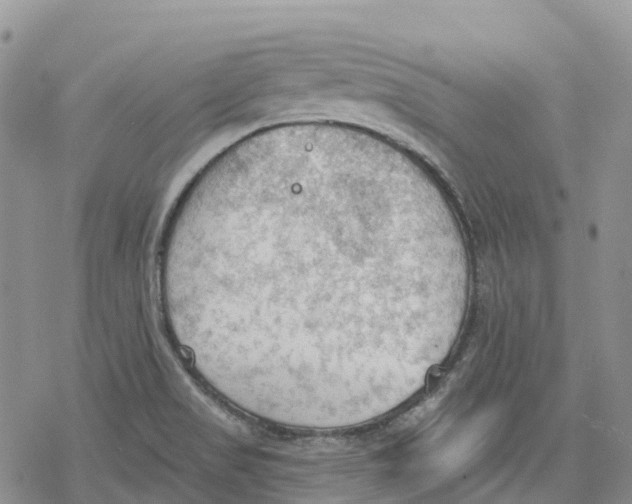 X0000078231517200611251201