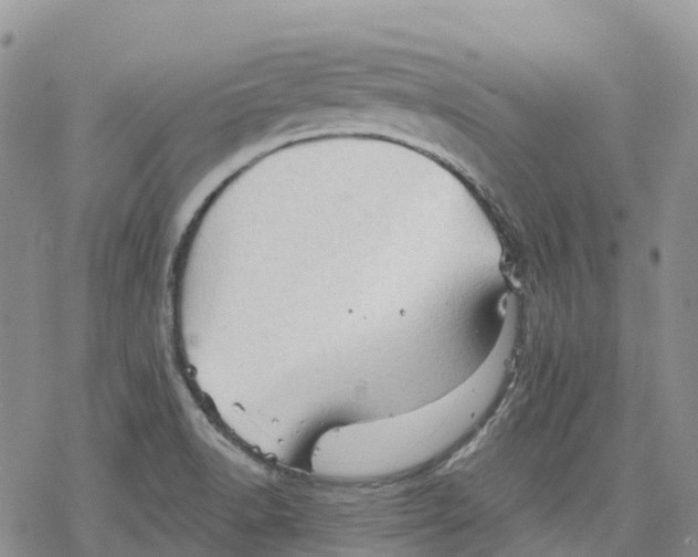 X0000078231518200611251201