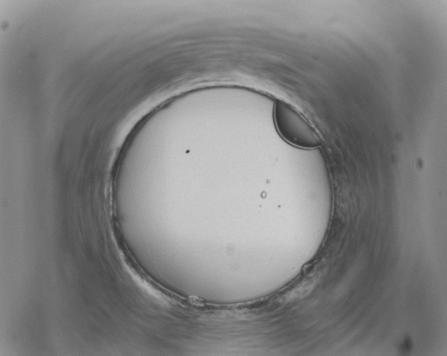 X0000078231519200611251201