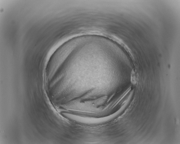 X0000078231520200611251201