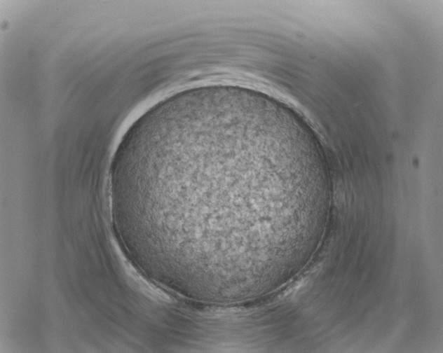 X0000078231522200611251201