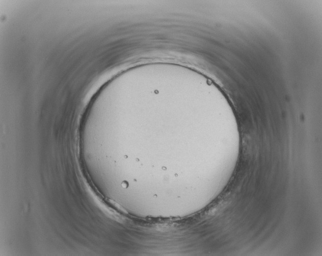 X0000078231523200611251201