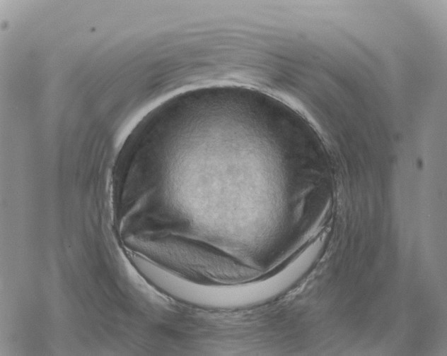 X0000078231524200611251201