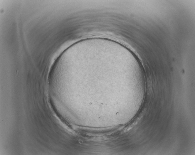 X0000078231525200611251201