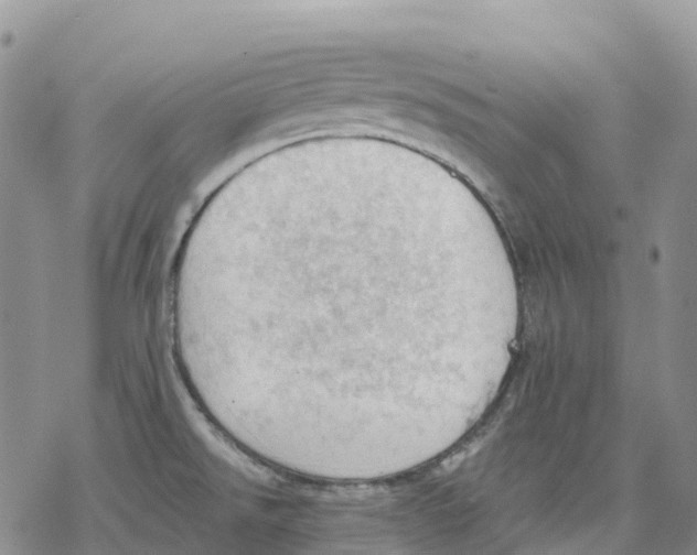 X0000078231526200611251201