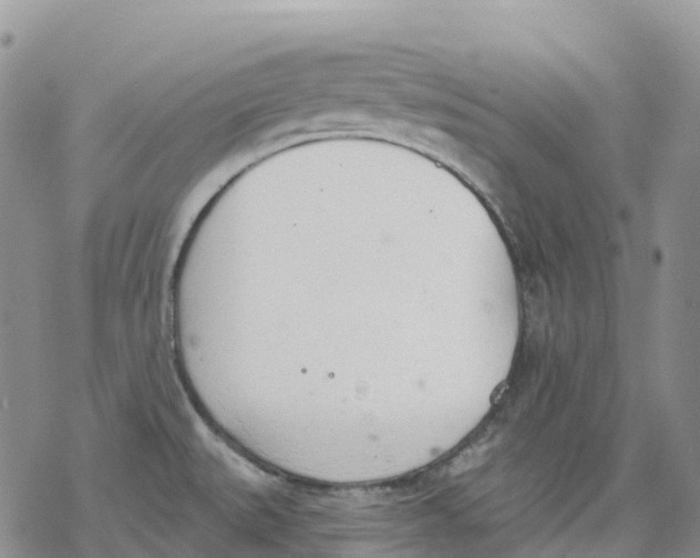 X0000078231527200611251201