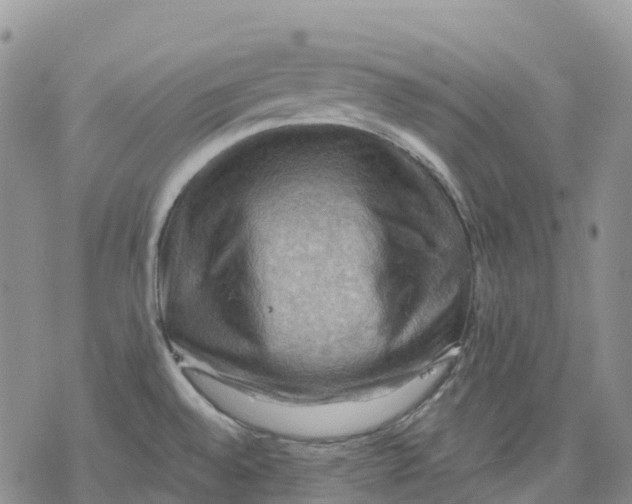 X0000078231528200611251201