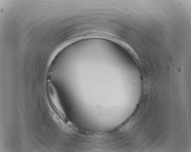 X0000078231530200611251201