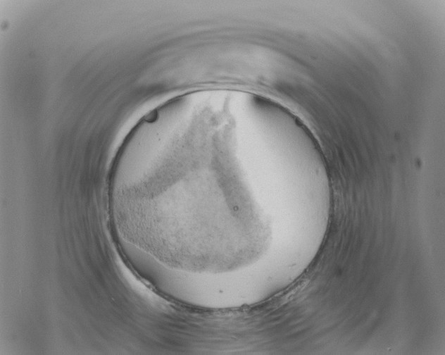 X0000078231531200611251201