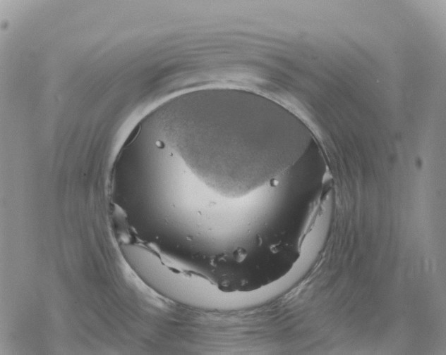 X0000078231532200611251201