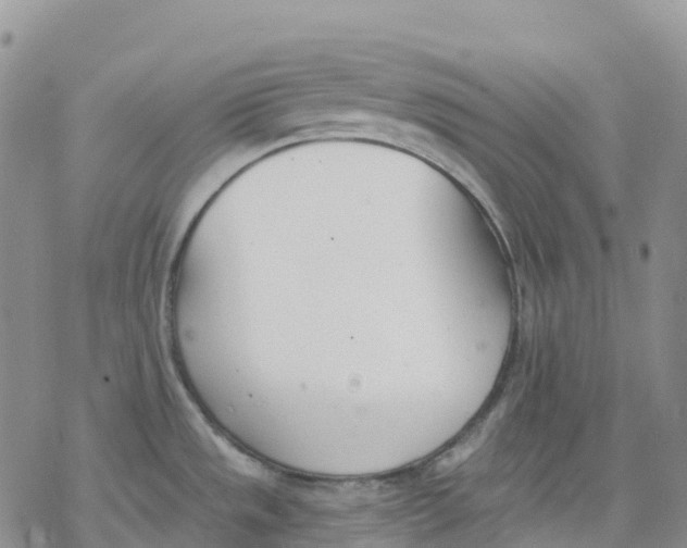 X0000078231533200611251201