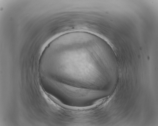 X0000078231534200611251201