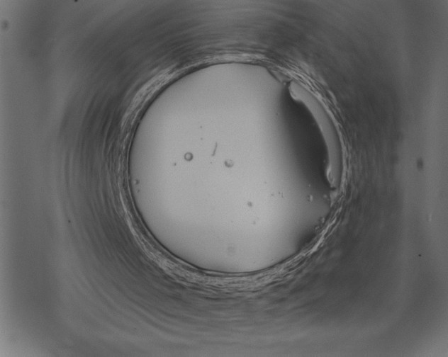 X0000078230001200612011551