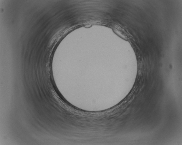 X0000078230002200612011551