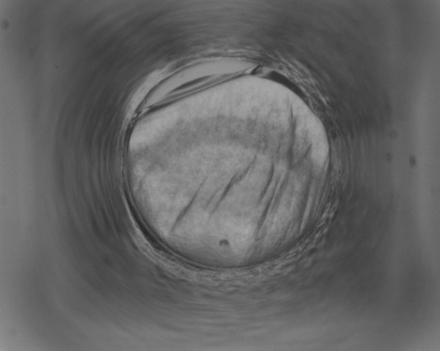 X0000078230003200612011551