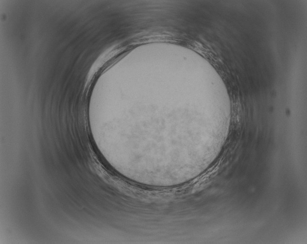 X0000078230004200612011551