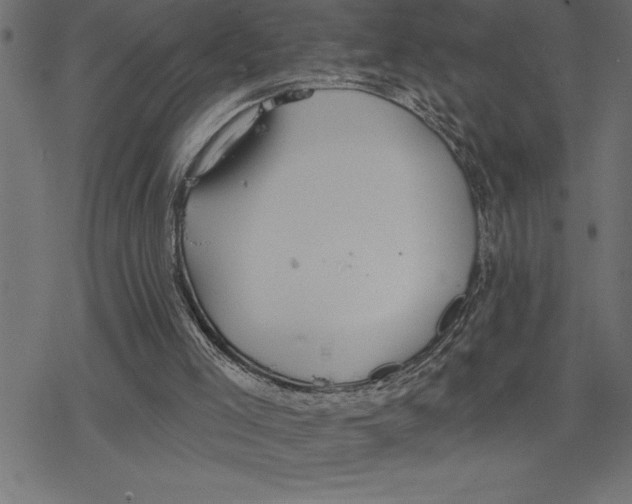 X0000078230005200612011551