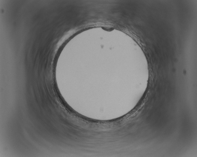 X0000078230008200612011551