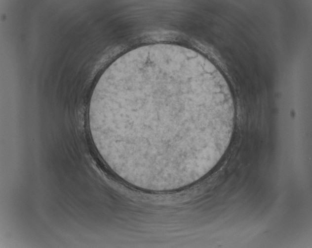 X0000078230010200612011551