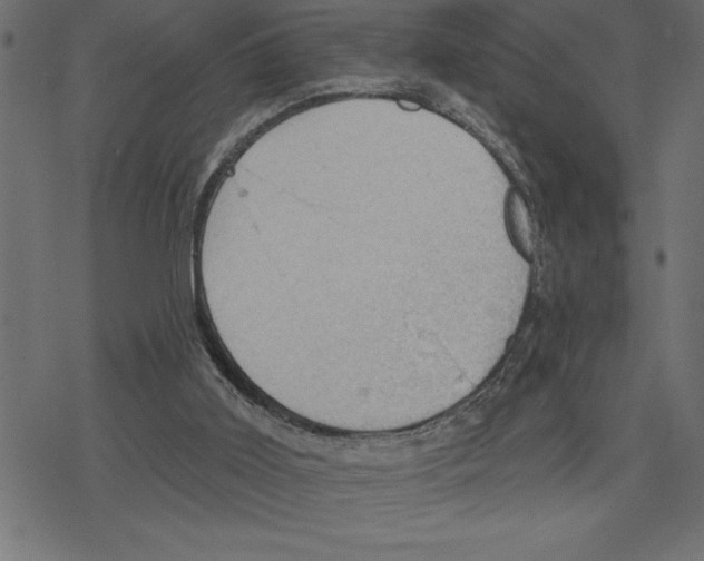 X0000078230011200612011551