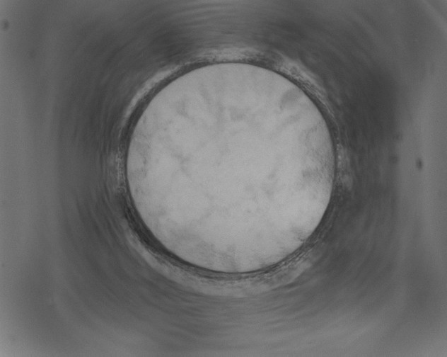 X0000078230012200612011551