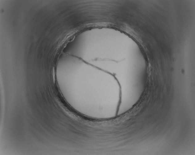 X0000078230013200612011551