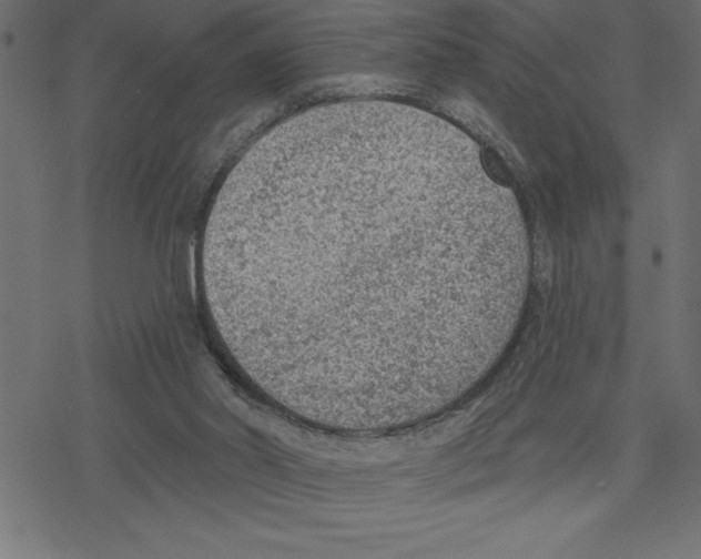 X0000078230014200612011551