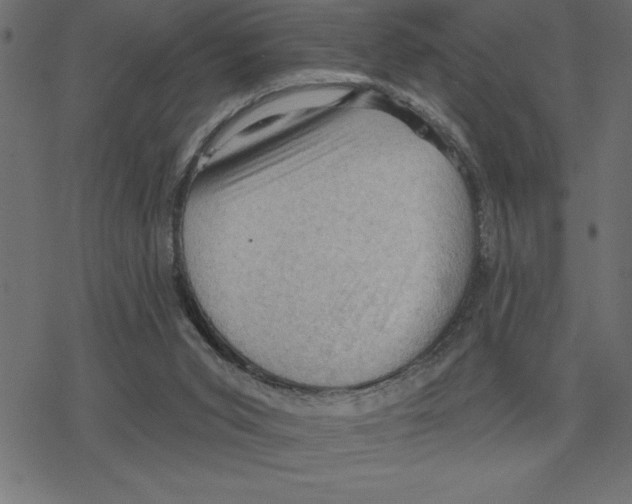 X0000078230015200612011551