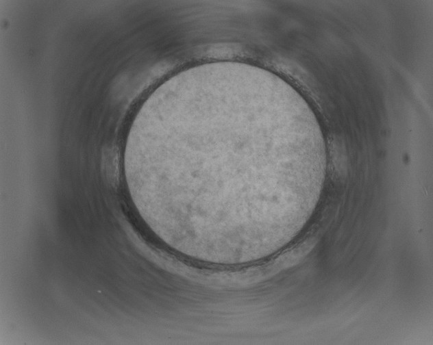 X0000078230016200612011551