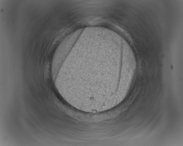 X0000078230018200612011551