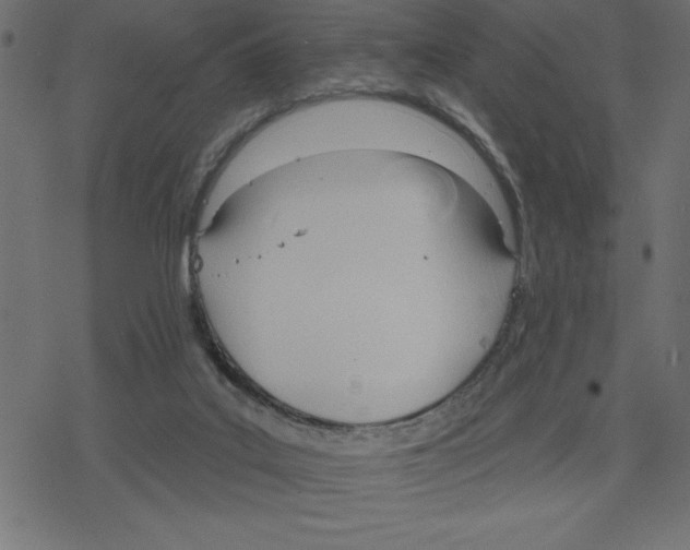 X0000078230019200612011551