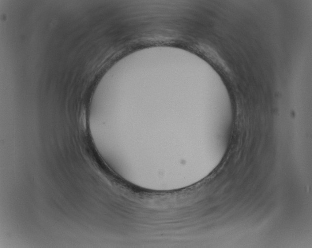 X0000078230021200612011551