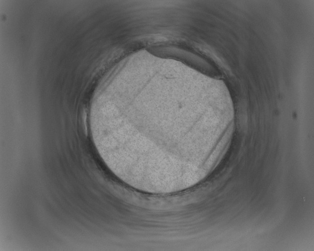 X0000078230022200612011551